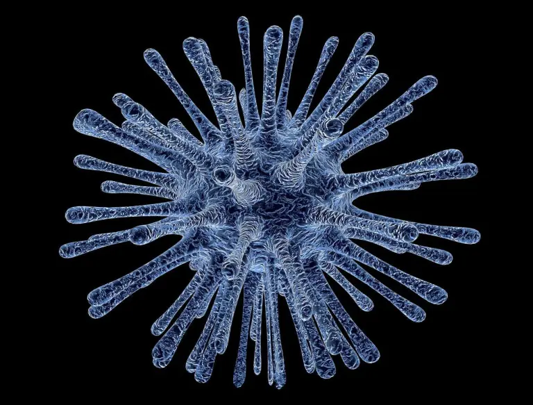 virus generico