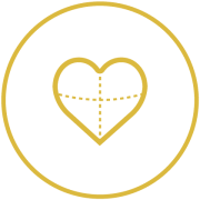 cardiovascular 02