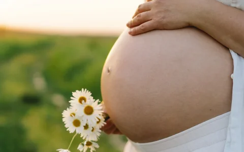 fertilidad